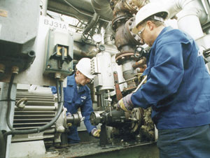 6360152365532055582670267.jpg 6360152365532055582670267.jpg